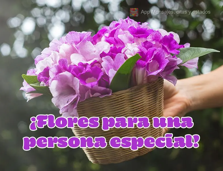  ¡Flores para una persona especial!