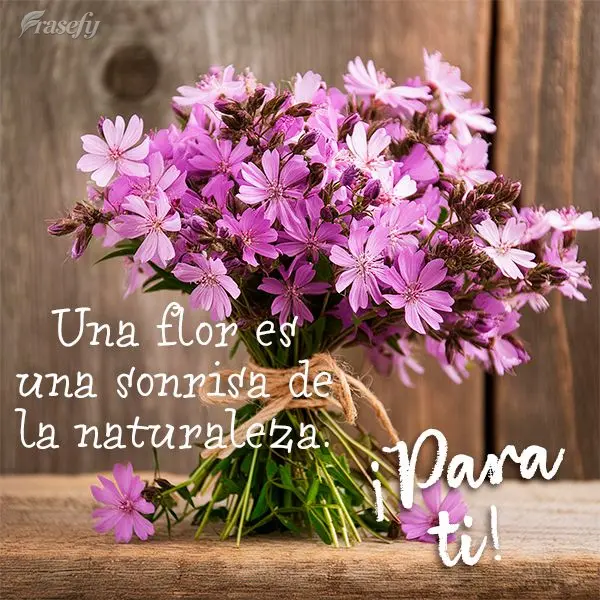 Uma flor é um sorriso da natureza. Par você!