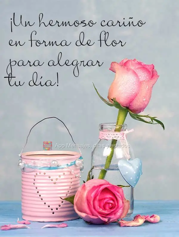 ¡Un hermoso cariño en forma de flor para alegrar tu día!
