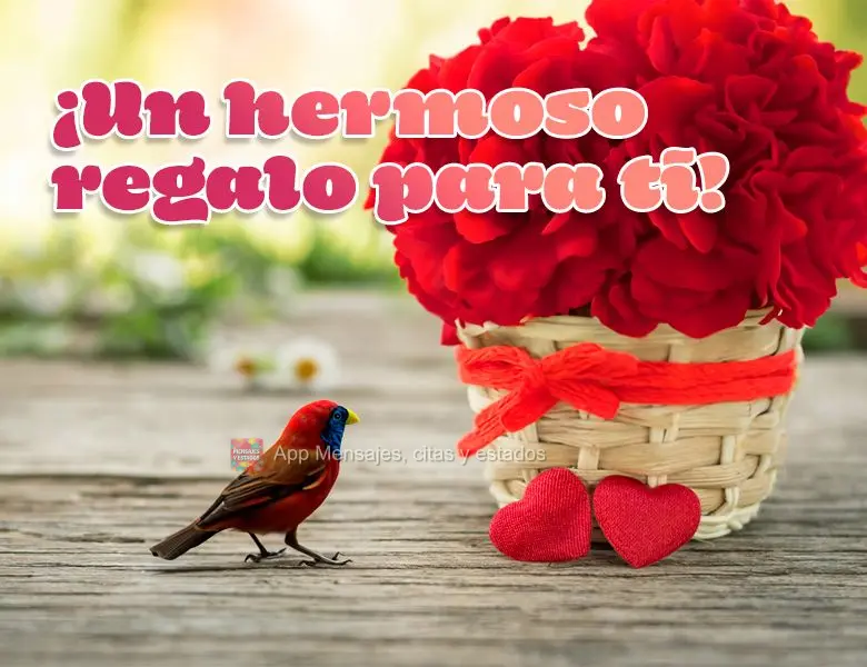 ¡Un hermoso regalo para ti!