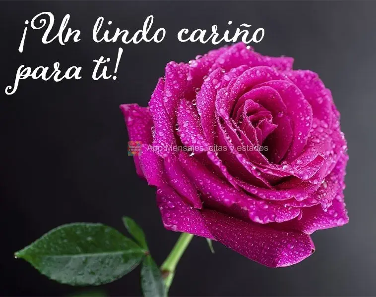 ¡Un lindo cariño para ti!