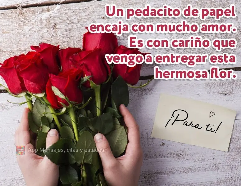 Un pedacito de papel encaja con mucho amor. Es con cariño que vengo a entregar esta hermosa flor. ¡Para ti!