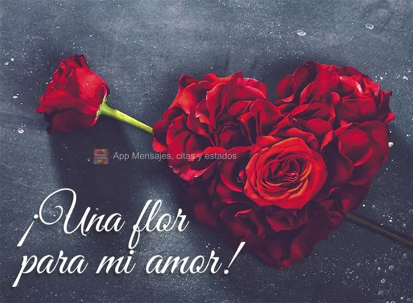 ¡Una flor para mi amor!