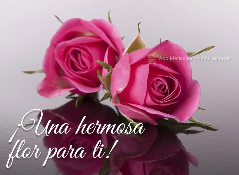 ¡Una hermosa flor para ti!