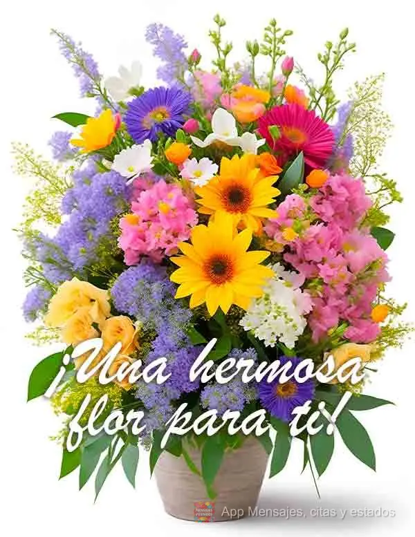 ¡Una hermosa flor para ti!