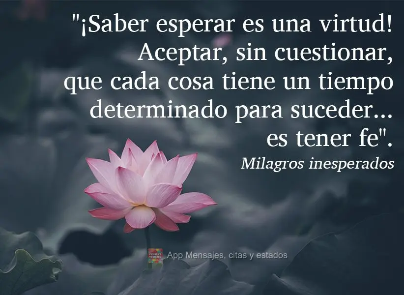 "¡Saber esperar es una virtud! Aceptar, sin cuestionar, que cada cosa tiene un tiempo determinado para suceder... es tener fe". Milagros inesperados