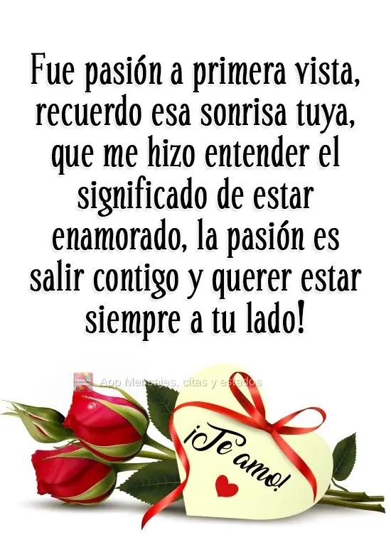 Fue pasión a primera vista, recuerdo esa sonrisa tuya, que me hizo entender el significado de estar enamorado, la pasión es salir contigo y querer esta...