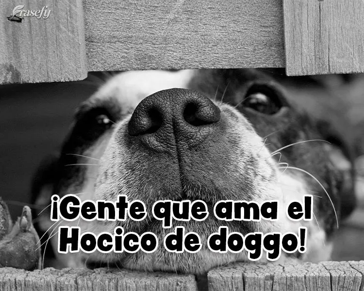 ¡Gente que ama el Hocico del perrito!