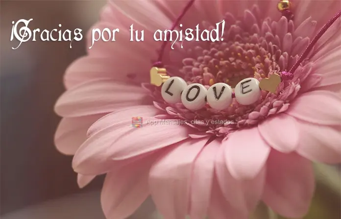 ¡Gracias por tu amistad!