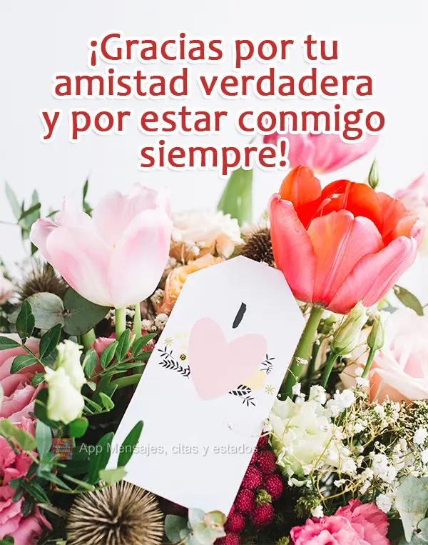 ¡Gracias por tu amistad verdadera y por estar conmigo siempre!
