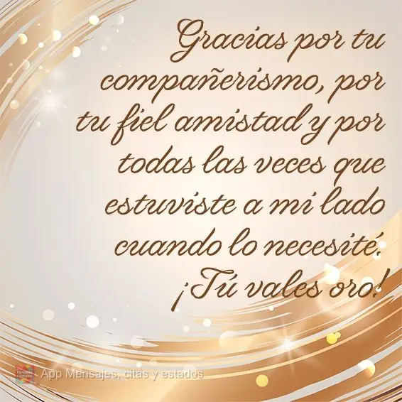 Gracias por tu compañerismo, por tu fiel amistad y por todas las veces que estuviste a mi lado cuando lo necesité. ¡Tú vales oro!