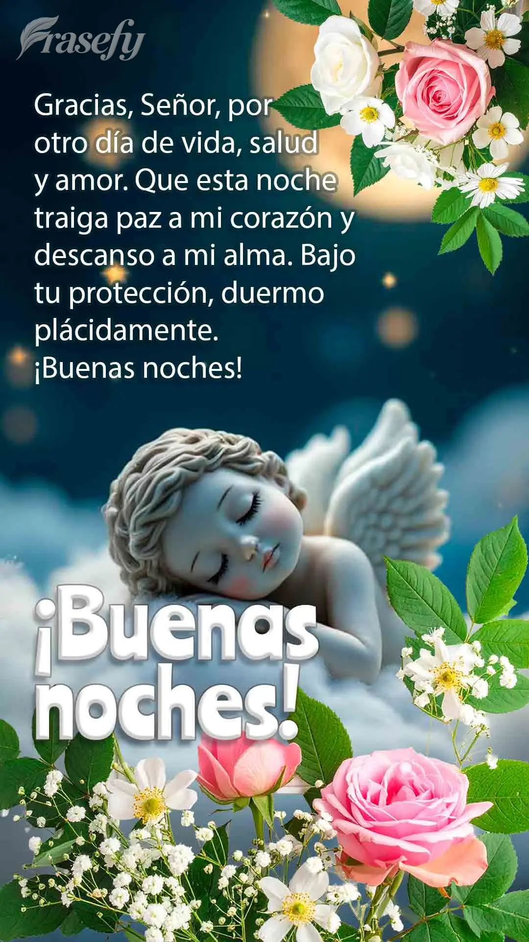 Gracias, Señor, por otro día de vida, salud y amor. Que esta noche traiga paz a mi corazón y descanso a mi alma. Bajo tu protección, duermo plácidam...
