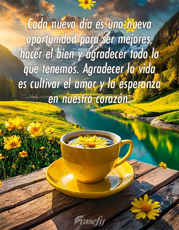 Cada novo dia é uma nova oportunidade de sermos melhores, de fazer o bem e de agradecer por tudo que temos. Ser grato pela vida é cultivar o amor e a e...