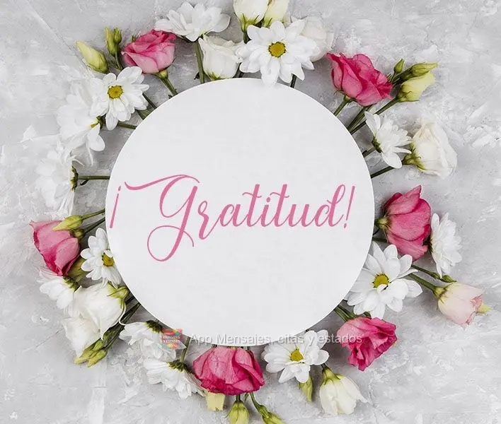 ¡Gratitud!