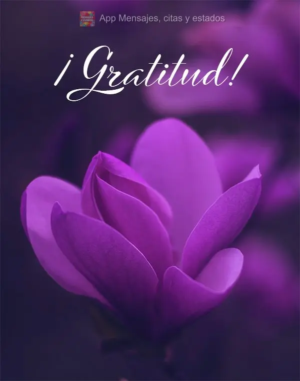 ¡Gratitud!