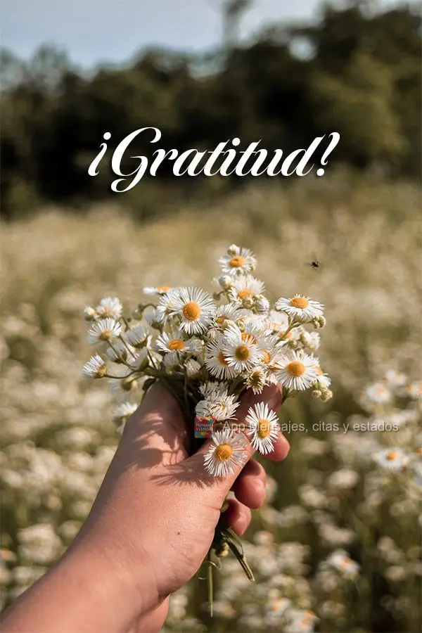¡Gratitud!