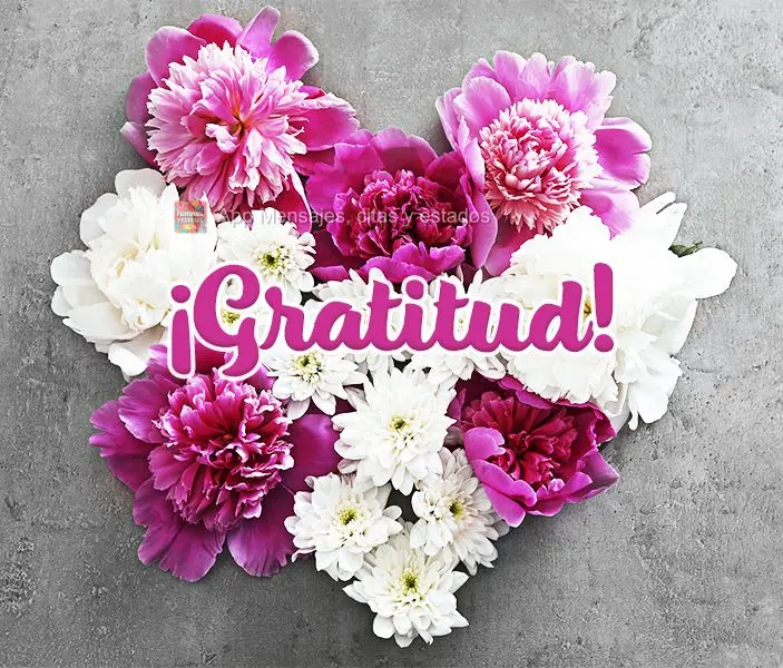¡Gratitud!