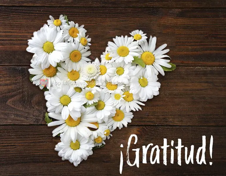 ¡Gratitud!