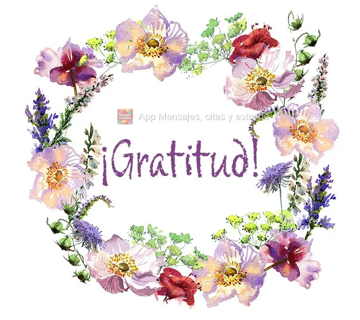 ¡Gratitud!