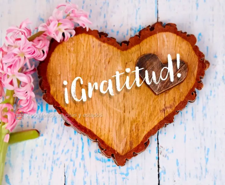 ¡Gratitud!