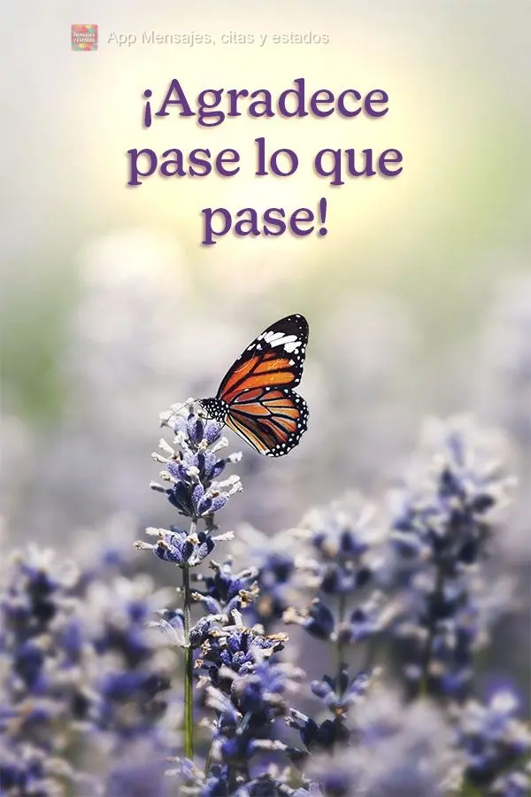 ¡Agradece pase lo que pase!