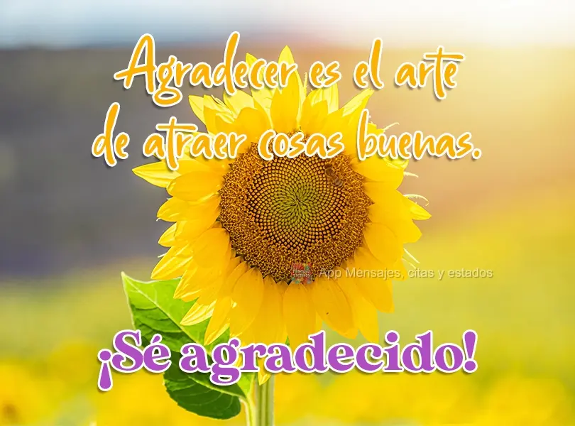 Agradecer es el arte de atraer cosas buenas. ¡Sé agradecido!