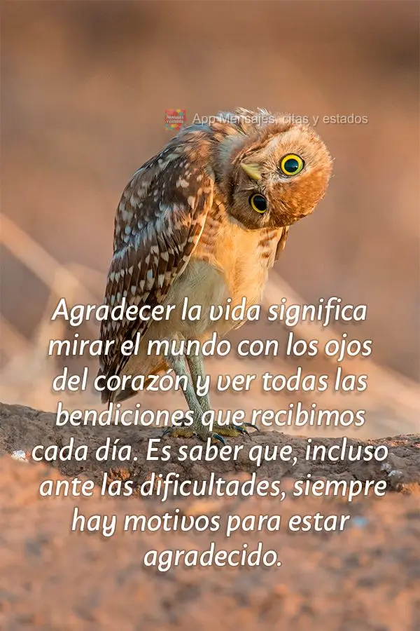Agradecer la vida significa mirar el mundo con los ojos del corazón y ver todas las bendiciones que recibimos cada día. Es saber que, incluso ante las ...