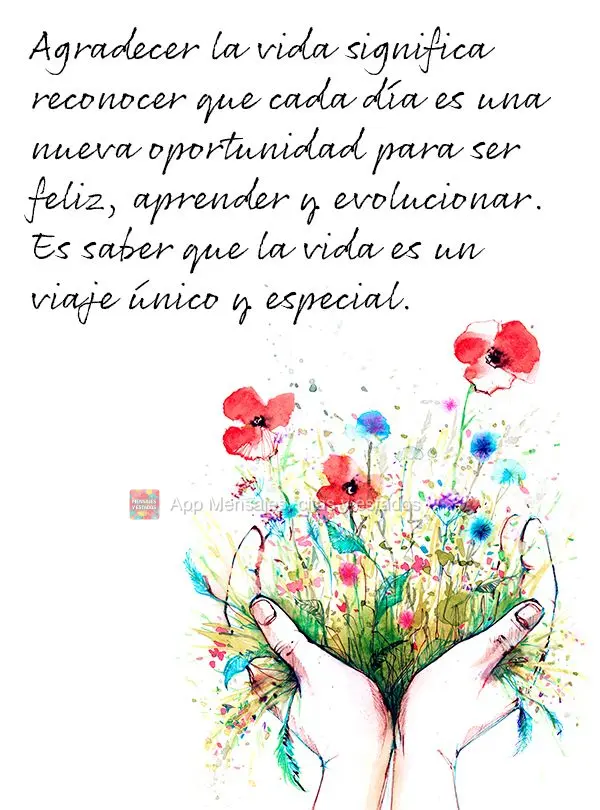 Agradecer la vida significa reconocer que cada día es una nueva oportunidad para ser feliz, aprender y evolucionar. Es saber que la vida es un viaje ún...