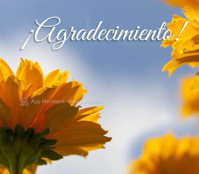 ¡Agradecimiento! 