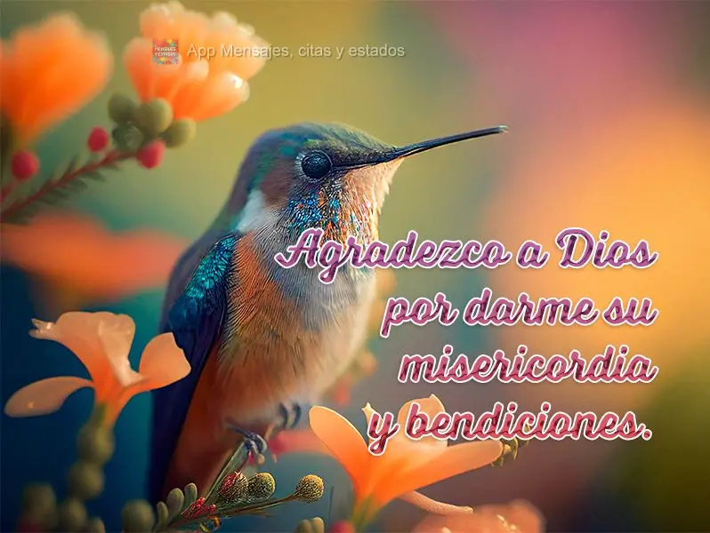 Agradezco a Dios por darme su misericordia y bendiciones.