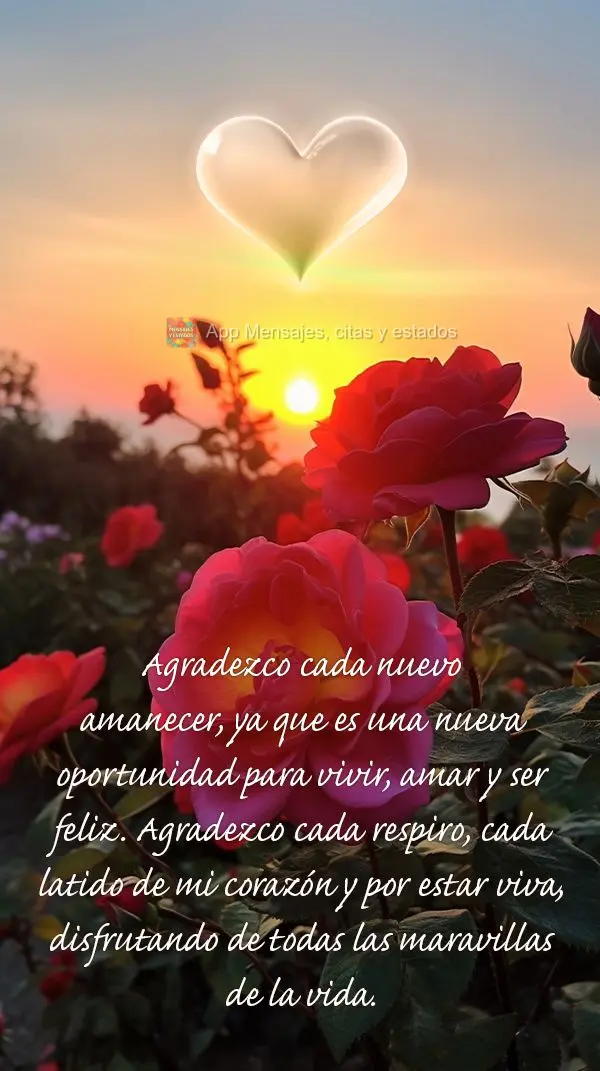 Agradezco cada nuevo amanecer, ya que es una nueva oportunidad para vivir, amar y ser feliz. Agradezco cada respiro, cada latido de mi corazón y por est...
