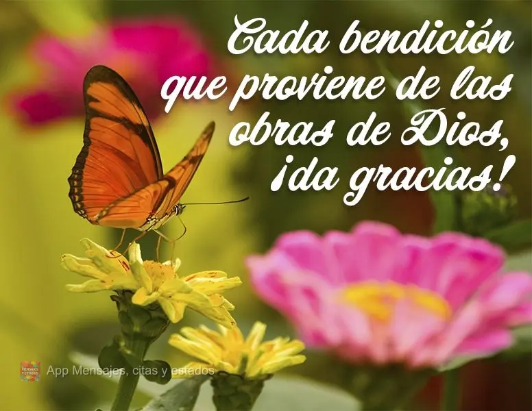 Cada bendición que proviene de las obras de Dios, ¡da gracias!