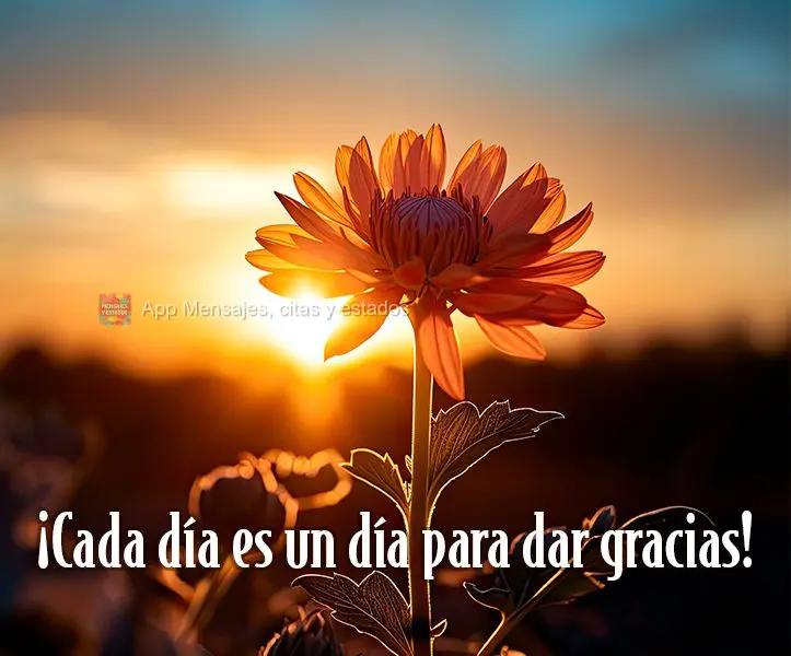 ¡Cada día es un día para dar gracias!