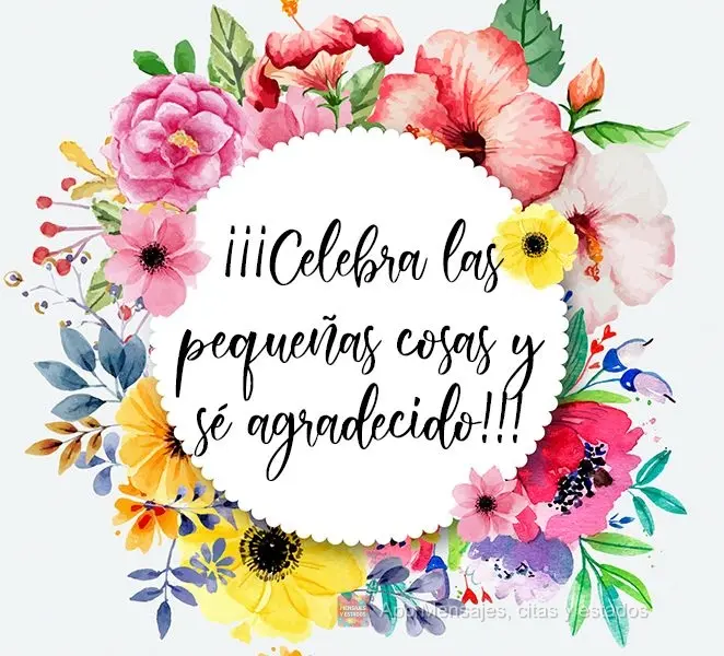 ¡¡¡Celebra las pequeñas cosas y sé agradecido!!! -