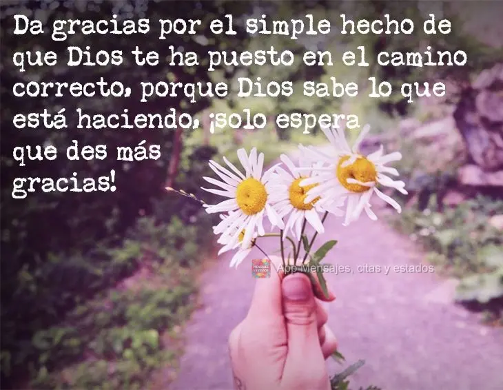 Da gracias por el simple hecho de que Dios te ha puesto en el camino correcto, porque Dios sabe lo que está haciendo, ¡solo espera que des más gracias...