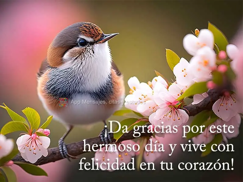 ¡Da gracias por este hermoso día y vive con felicidad en tu corazón!