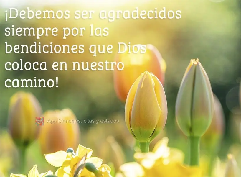 ¡Debemos ser agradecidos siempre por las bendiciones que Dios coloca en nuestro camino!