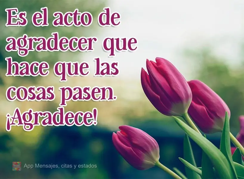 Es el acto de agradecer que hace que las cosas pasen. ¡Agradece!