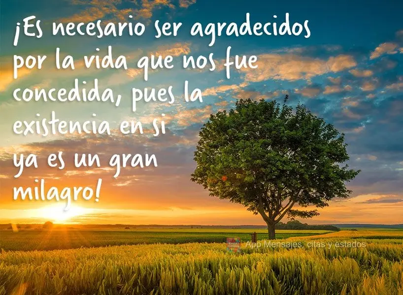 ¡Es necesario ser agradecidos por la vida que nos fue concedida, pues la existencia en si ya es un gran milagro!