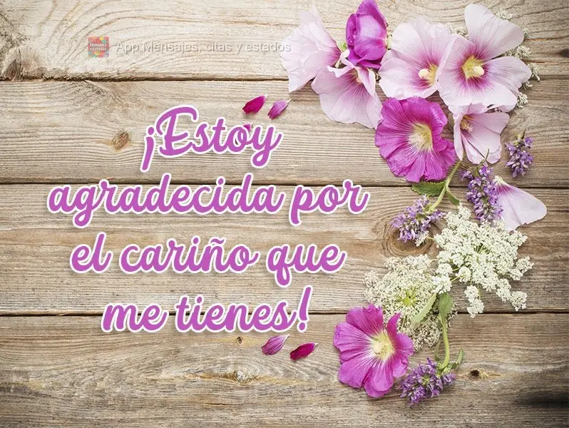 ¡Estoy agradecida por el cariño que me tienes!