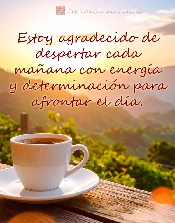 Estoy agradecido de despertar cada mañana con energía y determinación para afrontar el día.