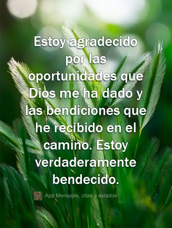 Estoy agradecido por las oportunidades que Dios me ha dado y las bendiciones que he recibido en el camino. Estoy verdaderamente bendecido.