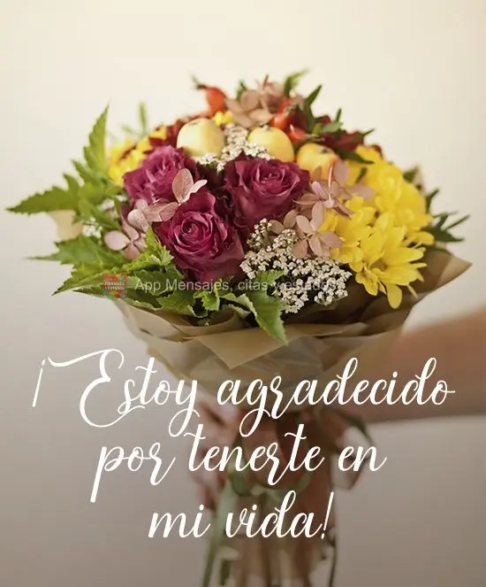 ¡Estoy agradecido por tenerte en mi vida!
