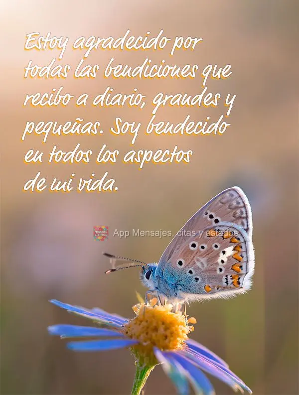 Estoy agradecido por todas las bendiciones que recibo a diario, grandes y pequeñas. Soy bendecido en todos los aspectos de mi vida.