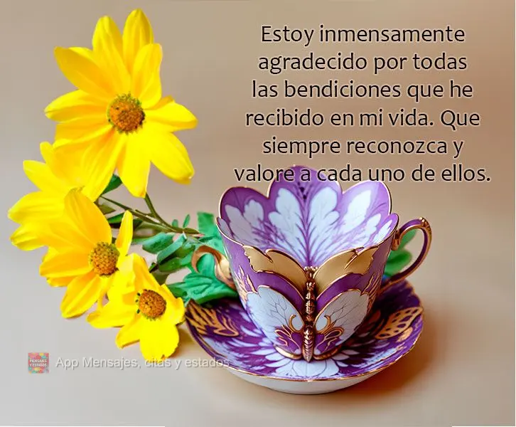 Estoy inmensamente agradecido por todas las bendiciones que he recibido en mi vida. Que siempre reconozca y valore a cada uno de ellos.