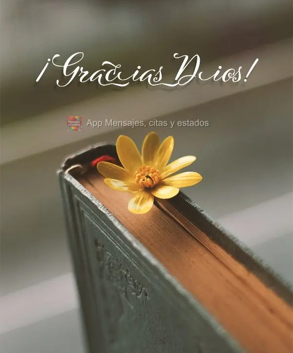 ¡Gracias dios!