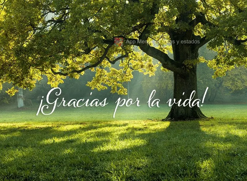 ¡Gracias por la vida!