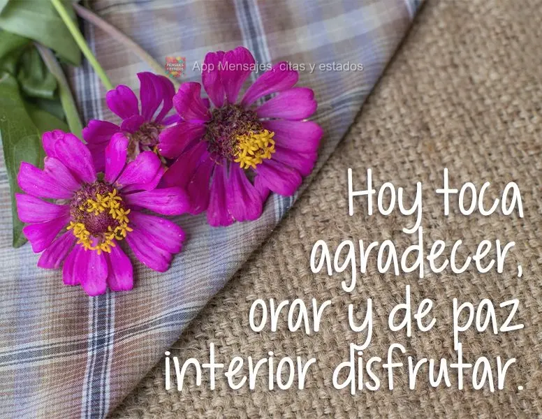Hoy toca agradecer, orar y de paz interior disfrutar.
