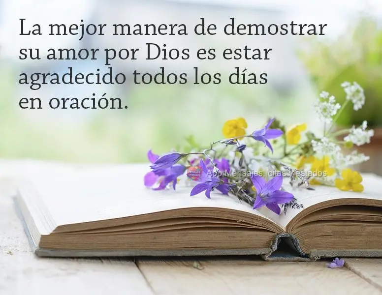 La mejor manera de demostrar su amor por Dios es estar agradecido todos los días en oración.