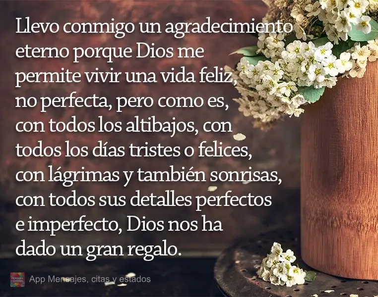 Llevo conmigo un agradecimiento eterno porque Dios me permite vivir una vida feliz, no perfecta, pero como es, con todos los altibajos, con todos los dí...